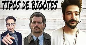 TIPOS DE BIGOTES| los mejores tipos de bigotes