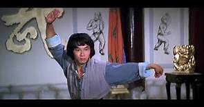 Ching Siu-Tung 程小東 - Acclaimed director and an incredibly gifted performer!