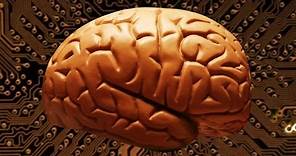 Explainer: How Many Megabytes Does Your Brain Hold?