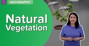 Natural Vegetation | Class 8 - Geography | Learn With BYJU'S