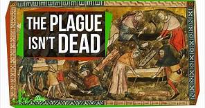 Could the Plague Rise Again?