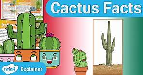 How Do Cacti Survive in the Desert? Cactus Facts for Kids