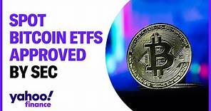 SEC approves spot bitcoin ETFS