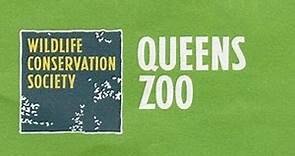 Queens Zoo Full Tour - Queens, New York