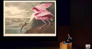 John James Audubon: Life-Sized and Larger than Life