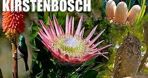 Kirstenbosch National Botanical Garden (Cape Town)