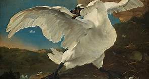 Masterpiece Story: Threatened Swan by Jan Asselijn