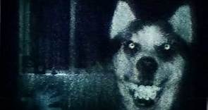 smile dog Teaser Trailer (Remastered)