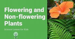 Flowering and Non-flowering Plants | Differences, Examples and Reproduction | Science Lesson