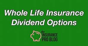 Whole Life Insurance Dividend Options