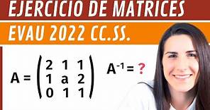 Ejercicio de Matrices 👨‍🎓 EVAU Matemáticas CCSS 2022 Madrid