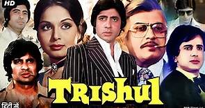 Trishul Full Movie Review & Facts | Amitabh Bachchan | Shashi Kapoor | Hema Malini | Poonam Dhillon