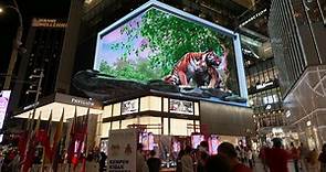 Pavilion KL - Year of Tiger 3D Animation