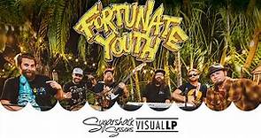 Fortunate Youth - Visual LP Vol. 1, 2 & 3 (Live Music) | Sugarshack Sessions