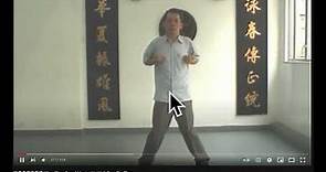 Ng Wah Sum Wing Chun Demonstrating Leung Sheung Wing Chun - Forms Footage Commentary