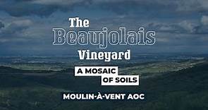 Moulin-à-Vent - The Beaujolais Vineyard, a Mosaic of Soils