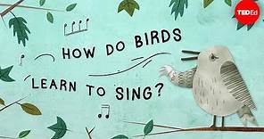 The surprising reason birds sing - Partha P. Mitra