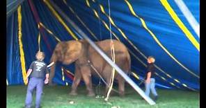 Setting Up The Circus tent