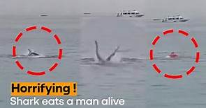 WATCH: Shark Eats a Russian Man Alive, Horrifying Video Goes Viral | Viral Video