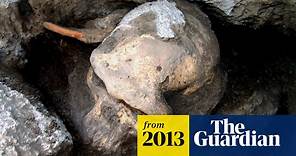 Skull of Homo erectus throws story of human evolution into disarray