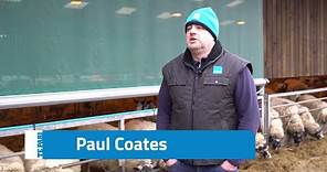 Accuracy with the Racewell Sheep Handler | Paul Coates