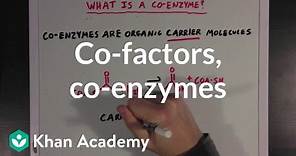 Co-factors, co-enzymes, and vitamins | MCAT | Khan Academy