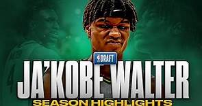 Ja'Kobe Walter Season Highlights | Offense & Defense | 2024 NBA Draft