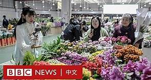 中國的「花花世界」：走進亞洲最大的鮮花市場 － BBC News 中文