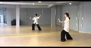 Traditional Dong Style Long Form Taijiquan First Part