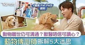 【寵愛Pet Pet】寵物離世後仍可讀心?　傳心師拆解跟動物溝通5大迷思 - 香港經濟日報 - TOPick - 娛樂