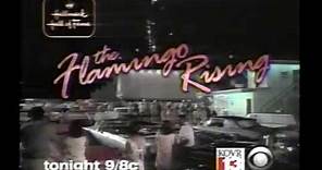 Hallmark Hall of Fame - The Flamingo Rising promo (2001)