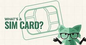 What's a SIM Card? | Mint Mobile