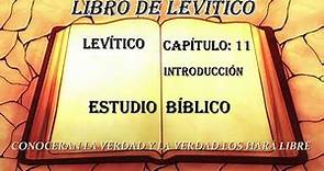 LEVÍTICO CAPÍTULO 11 ESTUDIO BIBLICO