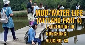 MUD/WATER LIFE (WETLAND PARK 4)