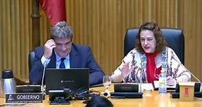 Exministra de Trabajo del PSOE Magdalena Valerio presidirá Consejo de Estado