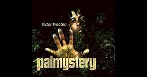 Victor Wooten - Palmystery (2008)