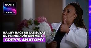 Grey's Anatomy 19X08: Primer episodio sin Meredith, Bailey hace de las suyas 😈 | Sony Channel