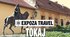 Tokaj (Hungary) Vacation Travel Video Guide