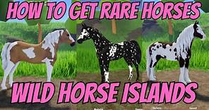 HOW TO GET RARE HORSES ON WILD HORSE ISLANDS / ROBLOX
