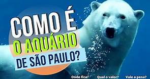 Como que é o aquário de São Paulo? | Onde fica e qual o valor | VALE A PENA?
