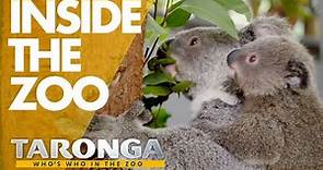 Welcome to Taronga Zoo | Taronga: Who's Who in the Zoo 2020