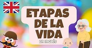 LAS ETAPAS DE LA VIDA EN INGLÉS - INGLÉS PARA NIÑOS CON MR.PEA - ENGLISH FOR KIDS