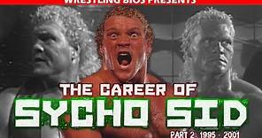 The Career of "Sycho" Sid Vicious: 1995 - 2001