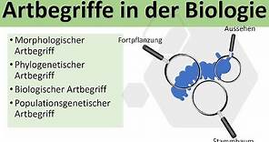 Artbegriffe in der Biologie [biologischer und morphologischer Artbegriff] - [Evolution, Oberstufe]