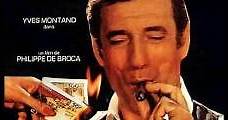 El diablo por la cola (1969) Online - Película Completa en Español - FULLTV