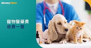 獸醫診所收費｜貓狗絕育價錢2024 寵物洗牙／身體檢查保險包唔包？