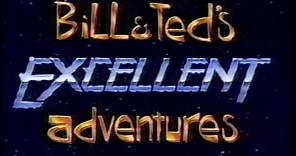 Bill and Ted's Excellent Adventures (Complete Live Action Series)