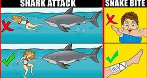 Scientific Tips on How to Survive Wild Animal Attacks