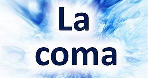 La coma - Signos de puntuación (Ejemplos) | Descripción completa - Learn Spanish