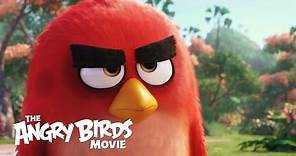 THE ANGRY BIRDS MOVIE - Official Teaser Trailer (HD)